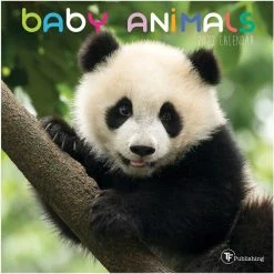Wholesale 😉 TF Publishing 2022 Baby Animals Mini Calendar 🤩