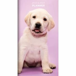 Coupon 😀 TF Publishing 2023-2024 Puppies 2 Year Small Monthly Pocket Planner 👏