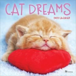 Deals 🧨 TF Publishing 2023 Cat Dreams Wall Calendar 💯