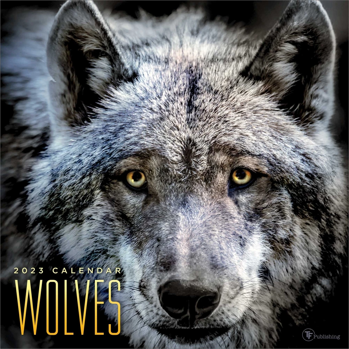 Flash Sale ???? TF Publishing 2023 Wolves Wall Calendar ???? 1 Flash Sale ???? TF Publishing 2023 Wolves Wall Calendar ????