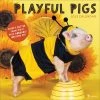 Brand new 🌟 TF Publishing 2023 Playful Pigs Wall Calendar 🛒