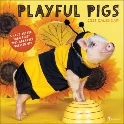 Brand new 🌟 TF Publishing 2023 Playful Pigs Wall Calendar 🛒
