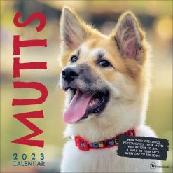 Flash Sale 😉 TF Publishing 2023 Mutts Wall Calendar 🥰