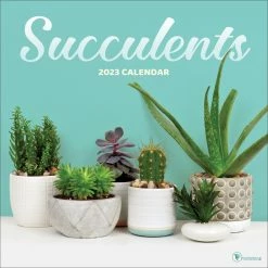 Outlet 🛒 TF Publishing 2023 Succulents Wall Calendar 😉