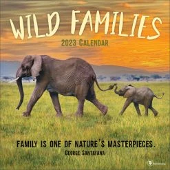 Buy ⭐ TF Publishing 2023 Wild Families Wall Calendar 😍