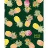 Promo 🌟 TF Publishing 2023 Pick A Pineapple Medium Monthly Planner 🥰