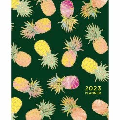 Promo 🌟 TF Publishing 2023 Pick A Pineapple Medium Monthly Planner 🥰