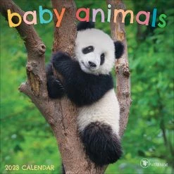 Best Sale 🤩 TF Publishing 2023 Baby Animals Mini Calendar ✔️